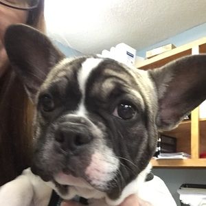 Meet your Posher, Krista